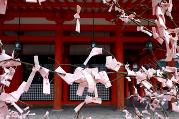In spring the shrine has pink omikuji (fortune papers)