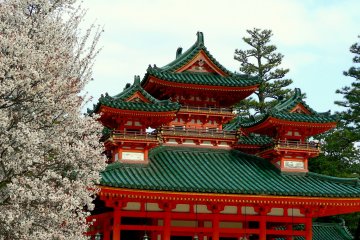 View of Heian Shrine with cherry tree in the foreground