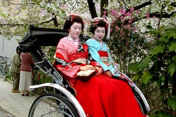 <p>Dua Maiko di atas becak di jalan filsafat</p>