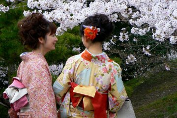 <p>Kimono yang cantik! Bunga sakura yang cantik!</p>