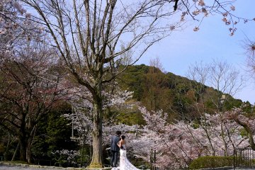 <p>A spring wedding couple posing for photos</p>