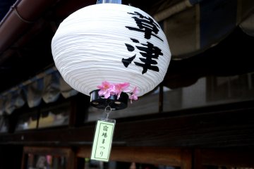 Cherry Blossoms in Kusatsu, Shiga