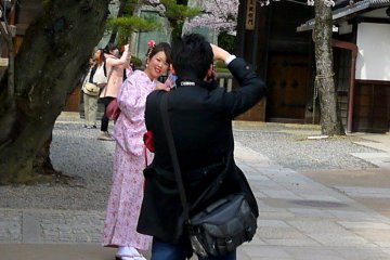 Bergaya di bawah bunga sakura