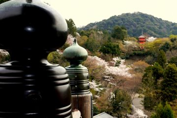 Bunga Sakura di Kuil Kiyomizu
