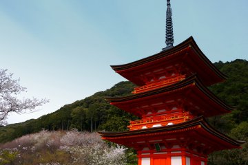 Pagoda merah dan sakura