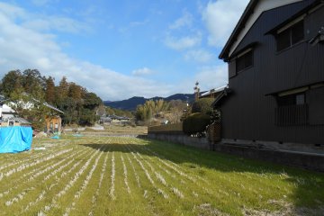 <p>La campagne d'Asuka</p>