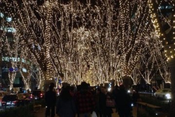 <p>The Pageant of Starlight is a month long illumination of Jozenji-dori Avenue</p>