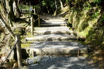 <p>A stone path in the garden</p>
