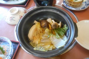 <p>Des champignons de la r&eacute;gion</p>