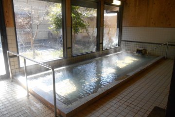 <p>L'un des bains int&eacute;rieurs</p>