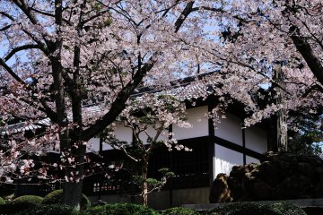 <p>A stone monument of Bokusui's poem inside Japanese garden of Kokawadera Temple</p>