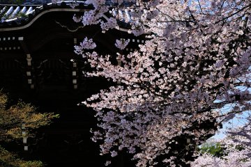 <p>The sign on the middle gate was written by the tenth lord of Kishu-han (present-day Wakayama Prefecture)</p>