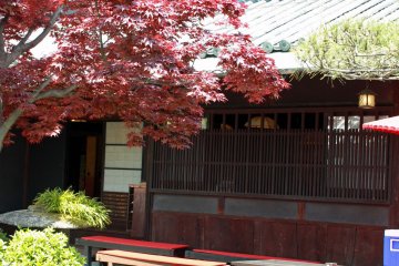 <p>Autumn color leaves and building</p>