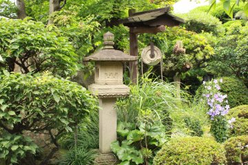 <p>Carefully maintained Japanese garden</p>