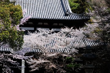 <p>The main hall where monks undergo strict trainings</p>