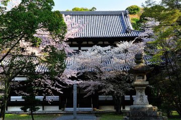 <p>In the early morning, tranquility permeates the air</p>