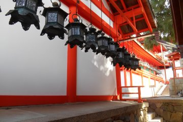 <p>A row of bronze lanterns&nbsp;</p>