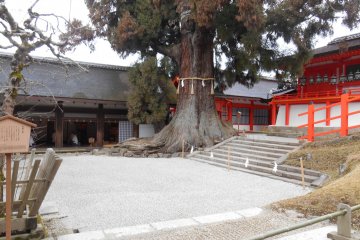 <p>View of the apple tree garden and the Naoraiden&nbsp;hall</p>