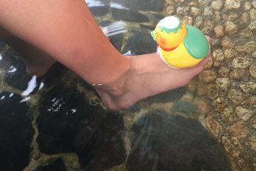 <p>Or these kappa ducks, which you will find in yet another foot bath.</p>