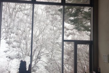 <p>In the morning the mountain in front of our hotel was covered in snow and it was hard to leave.</p>