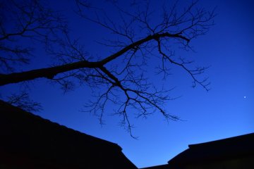 Magical Night at Yokokan in Fukui