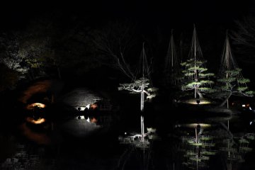 Illuminated Yokokan Garden in Fukui