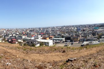 <p>A panoramic view of the city</p>