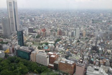 Tokyo Metropolitan Government Building&nbsp;observation deck, which is a free!