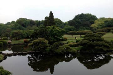Shinjuku Gyoen National Garden