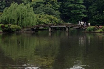 Beautiful lake in&nbsp;Shinjuku Gyoen