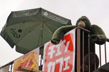 <p>Pastikan untuk melihat ke atas saat berjalan di area jalan Harajuku</p>