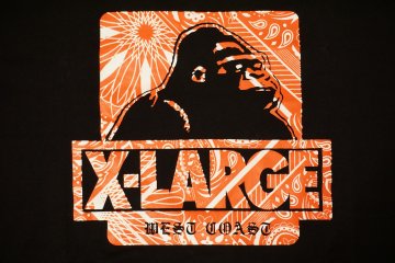 <p>X-Large t-shirt</p>