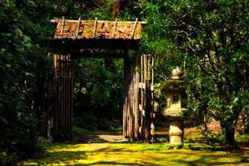<p>Abandoned wooden back gate slowly rotting to the ground</p>
