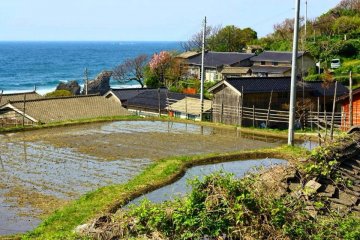 <p>A small cluster of houses, with some wonderful sea views!</p>