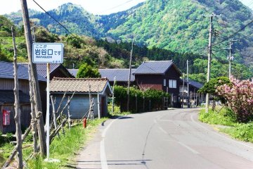 <p>There is one main road along the Sotokaifu coastline, and it cuts through Iwayaguchi's rice fields. You're not likely to see many cars on it, though.</p>