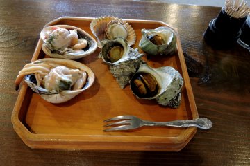 <p>Large clams, scallops and turban shells</p>