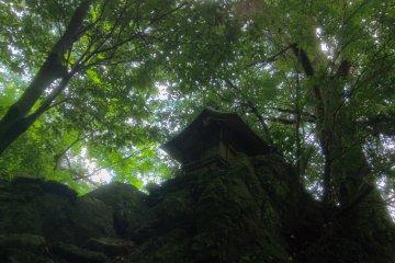 <p>Tiny building housing a Buddhist statue, "Hokora"</p>
