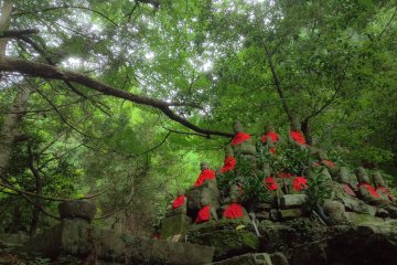 <p>The Buddha Stone is a cluster of Buddhist statues</p>