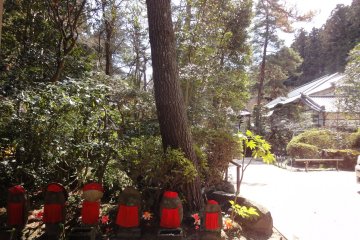 A Visit to Kyogamine