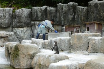 Hamamatsu  Zoological Gardens
