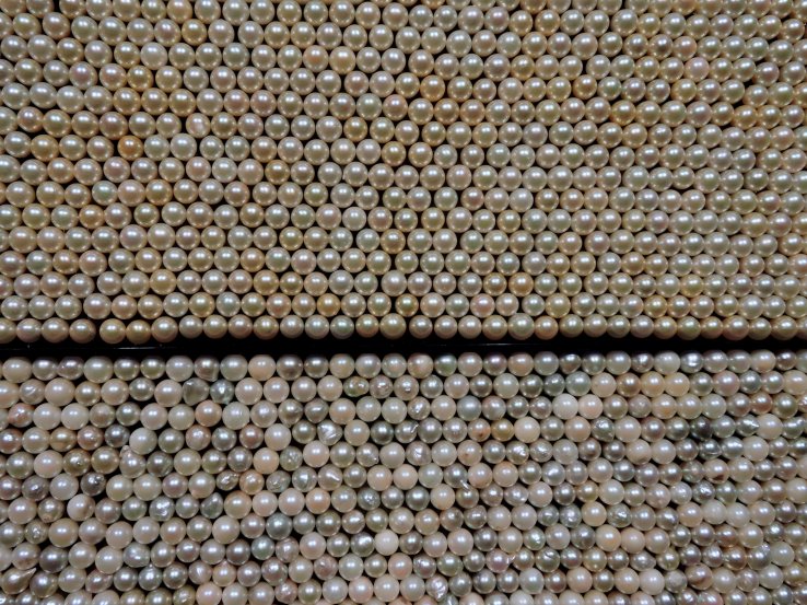 <p>Above the line are marketable pearls. Below are rejects.</p>