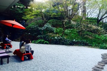 If you don't feel like eating at one of the gorgeous but pricey restaurants, why not have a break in a free-of-charge garden?