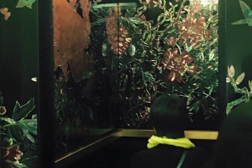 Then I was ready to go and see the ikebana exhibition. I made my way towards a beautiful elevator; however, ...