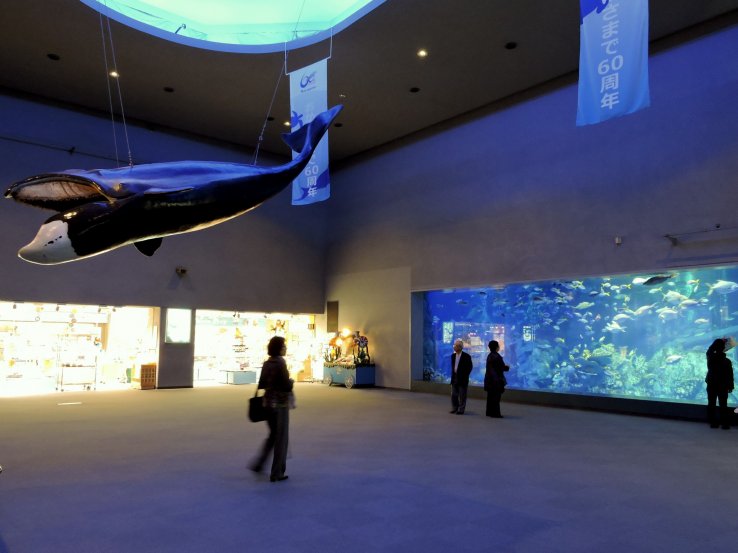 <p>A scale model of a whale is suspended over the entrance area</p>