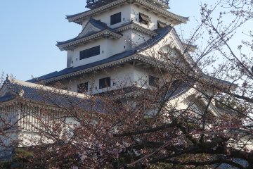 <p>Durant le printemps, c'est un magnifique endroit pour voir les cerisiers en fleurs</p>
