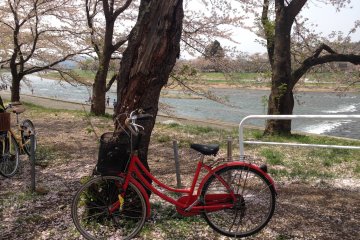A riverside picnic underneath the cherry blossoms? &nbsp;Take the gentle way by bicycle.