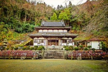 Kanagawa's Saisoji Temple