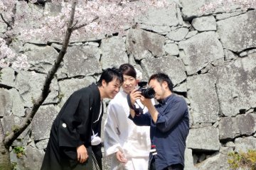 <p>A bride and groom pause to look at a photo taken of them under a cherry tree</p>