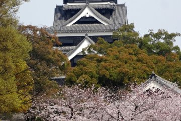 <p>A view of the main keep&nbsp;</p>
