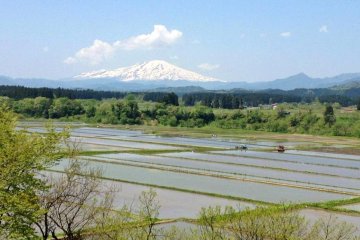 Le mont Chokai est la plus grande montagne de Yamagata. Ici, les rizières ont été inondées en vue de la plantation, tandis que tout autour, la campagne revient à la vie après l'hiver